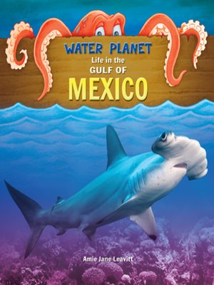 cover image of Gulf of Mexico